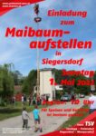 Maibaumaufstellen