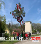 Maibaumaufstellen in Siegersdorf bei strahlendem Sonnenschein!