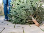 Christbaumabfuhr 2026